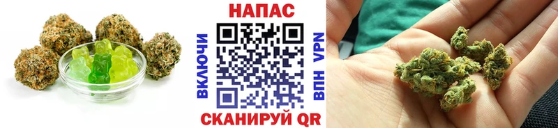 где купить   Сухиничи  Cannafood конопля 