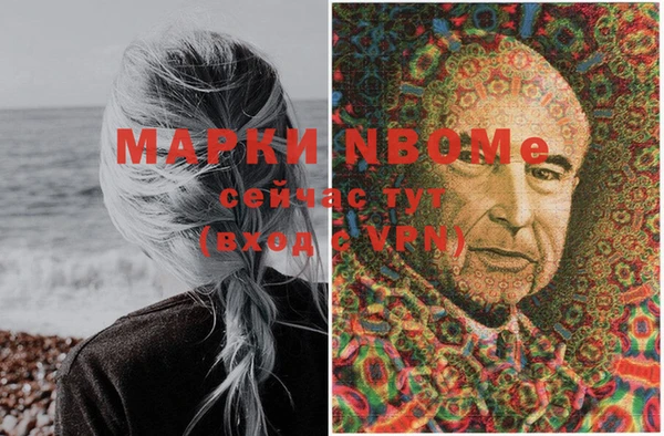 прущие крисы Балахна