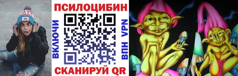 Галлюциногенные грибы Psilocybe Сухиничи